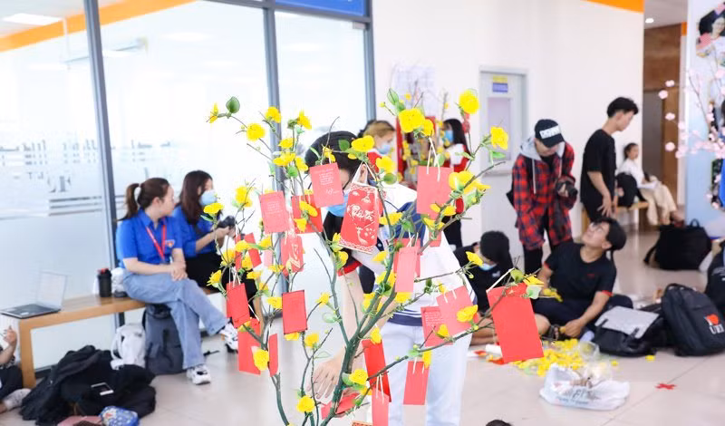 Sinh viên trổ tài trang trí mai, đào ngày Tết ảnh 8