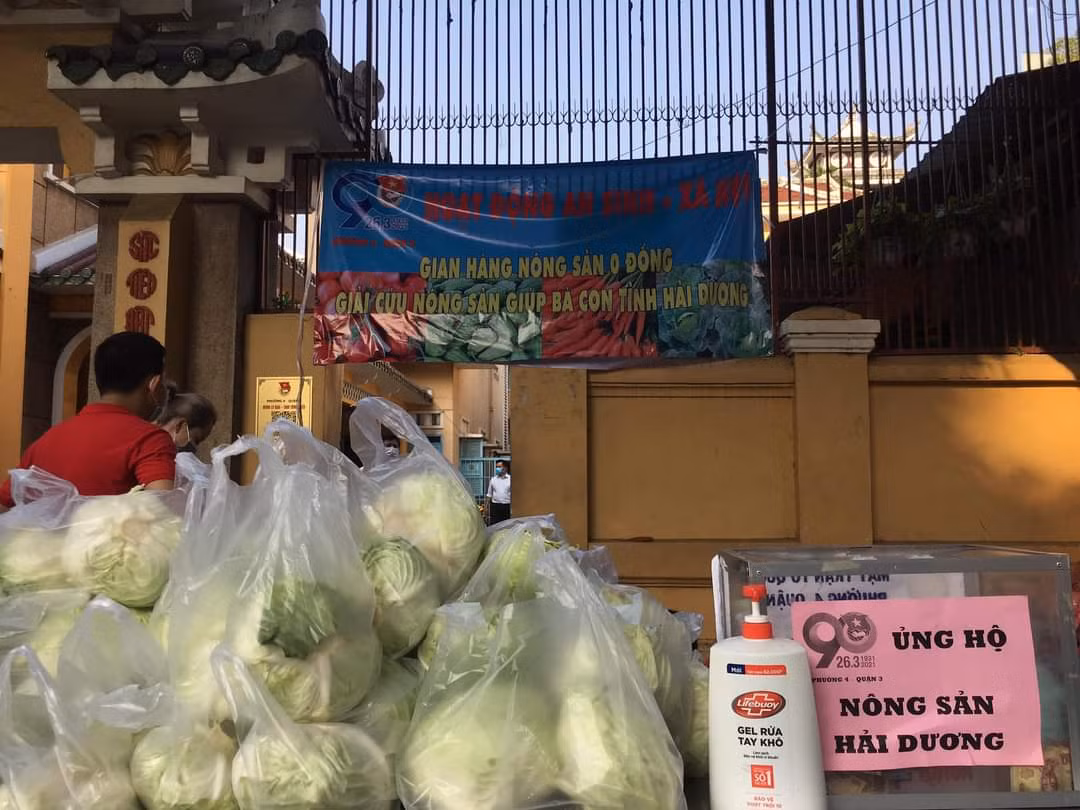 Bạn trẻ TP. HCM "giải cứu" nông sản cho nông dân Hải Dương ảnh 1