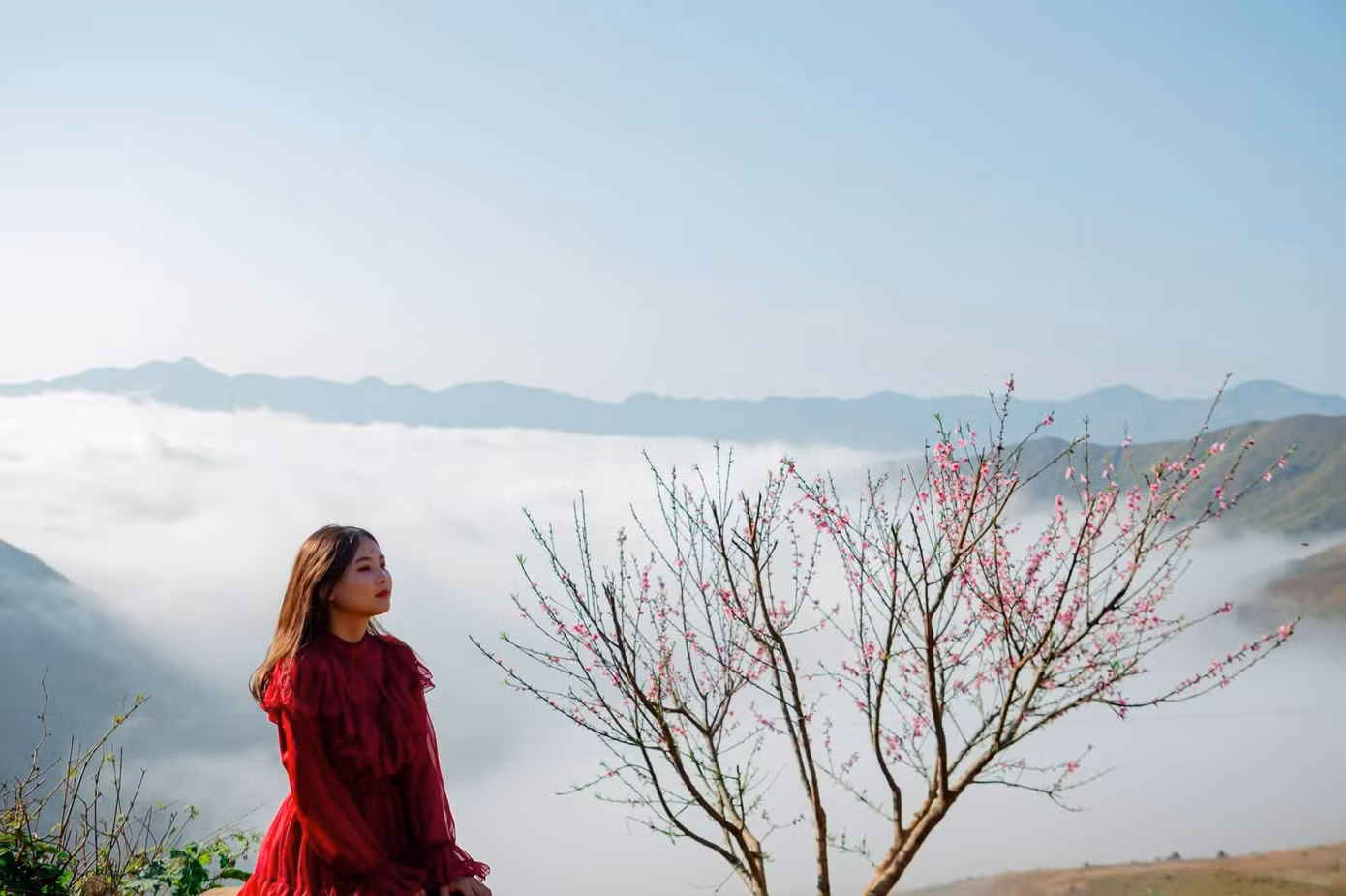 Lặng ngắm biển mây trên đỉnh Tà Xùa ảnh 5