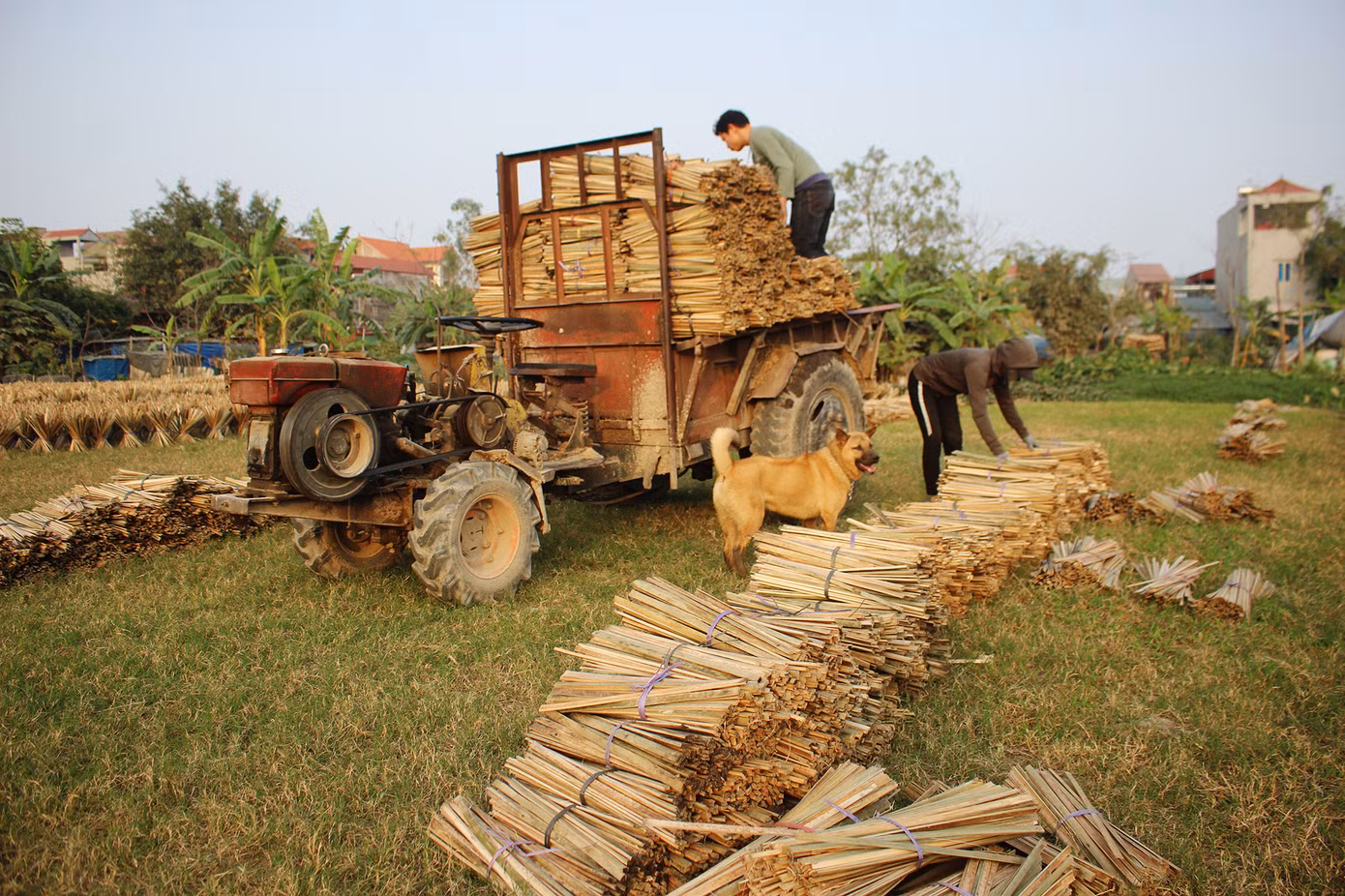 Nhịp sống hối hả dịp cận Tết ở làng nghề làm tăm hương cổ ở Hà Nội ảnh 8