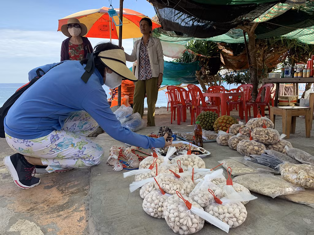 Khám phá 'hòn ngọc nhỏ' từ thiên đường rơi xuống thềm biển Đông ảnh 12