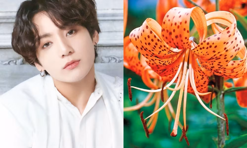 7 điều thú vị về album mới của BTS mà các ARMY nhất định không thể bỏ qua ảnh 10 7 điều thú vị về album mới của BTS mà các ARMY nhất định không thể bỏ qua ảnh 10