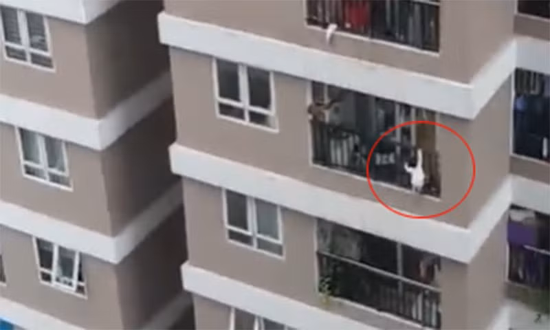 Pin kim cương hứa hẹn cấp đủ điện cho tàu thăm dò dùng 100 năm ảnh 4