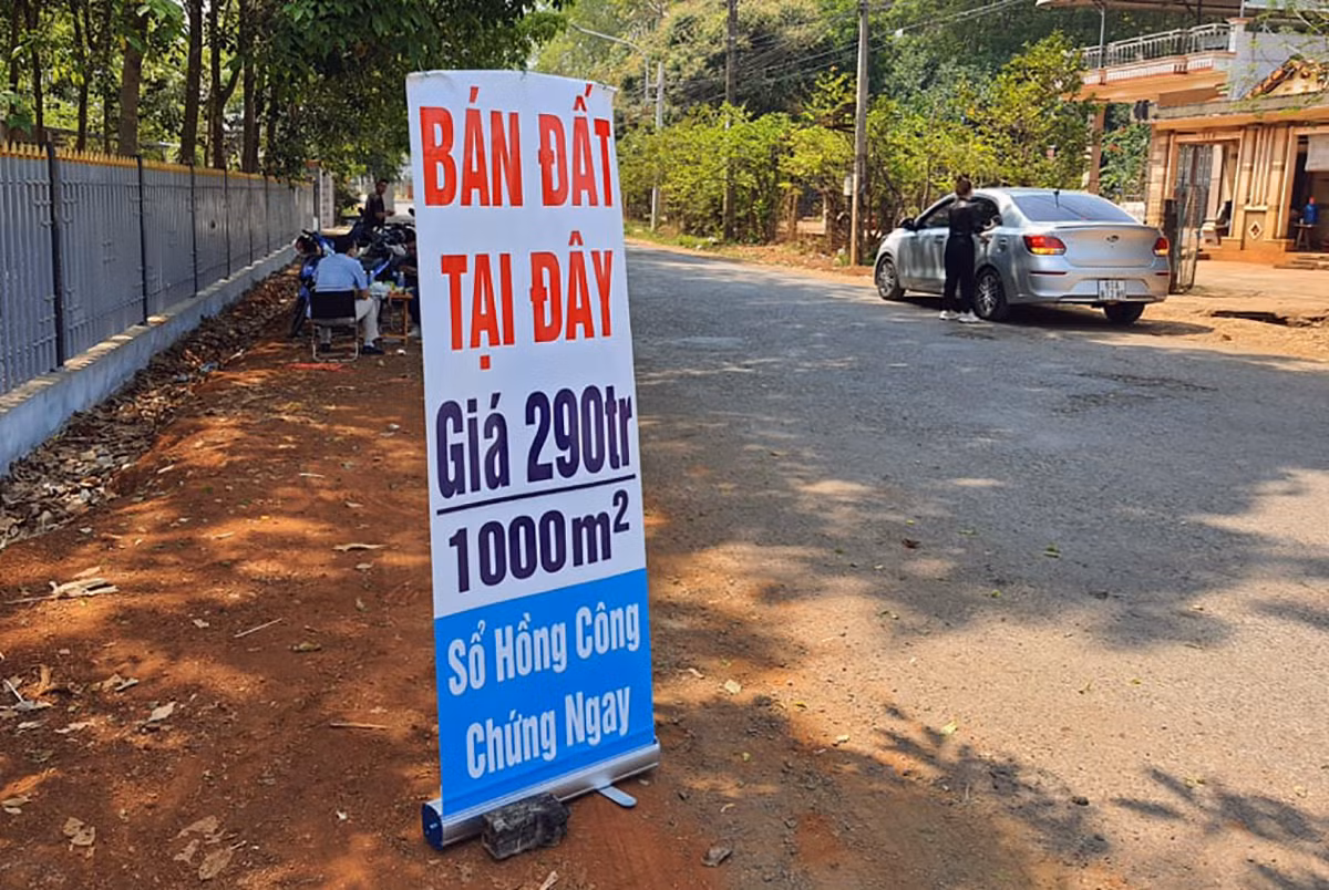 Đủ chiêu trò bán đất rừng, đất ruộng... trong cơn sốt đất quay cuồng ảnh 5