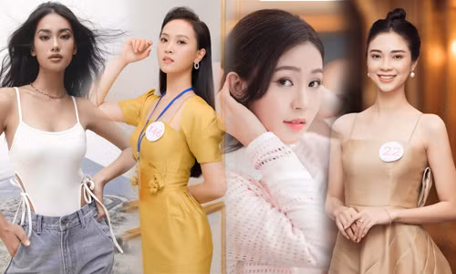 Người đẹp Huỳnh Thúy Vi nhận bằng thạc sĩ, chuẩn bị làm giảng viên đại học ảnh 8