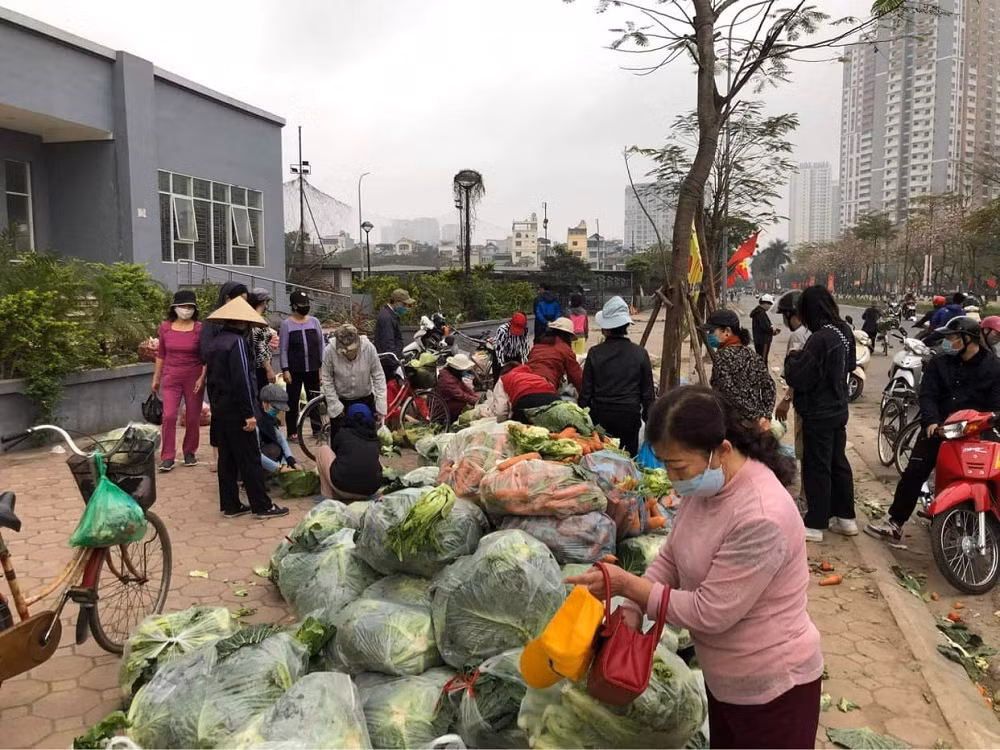 “Phiên chợ 0 đồng” và những chuyến xe giải cứu nông sản Hải Dương của nghệ sĩ Việt ảnh 3