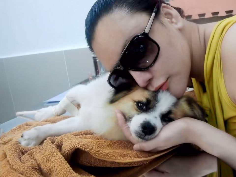 Sau hơn 10 năm ở ẩn, Hồ Quỳnh Hương bây giờ ra sao? ảnh 5