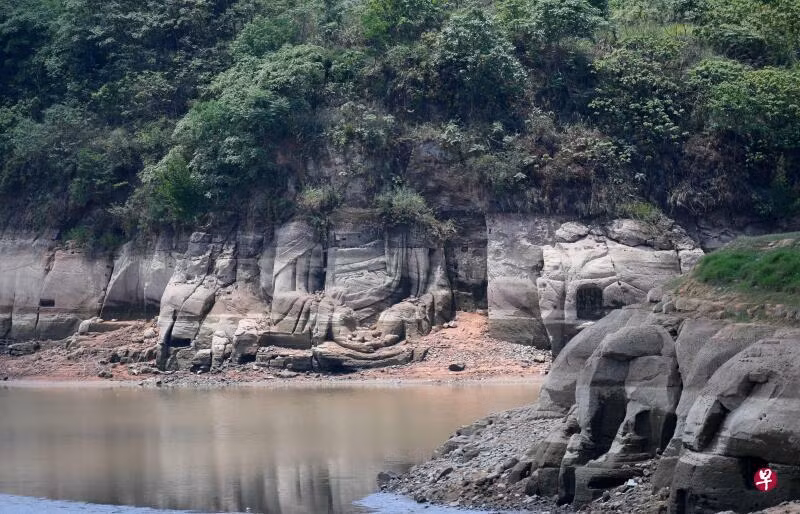 Đoạt Oscar, ‘Ký sinh trùng’ bị đối thủ ‘nhẹ ký’ đả bại tại LHP Baeksang gây tranh cãi ảnh 14