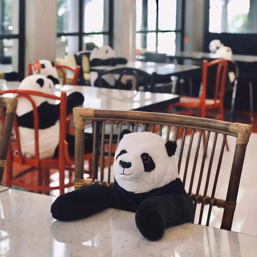 Nhà hàng Việt tại Thái Lan sử dụng nhân viên... gấu trúc để "tiếp chuyện" thực khách ảnh 3