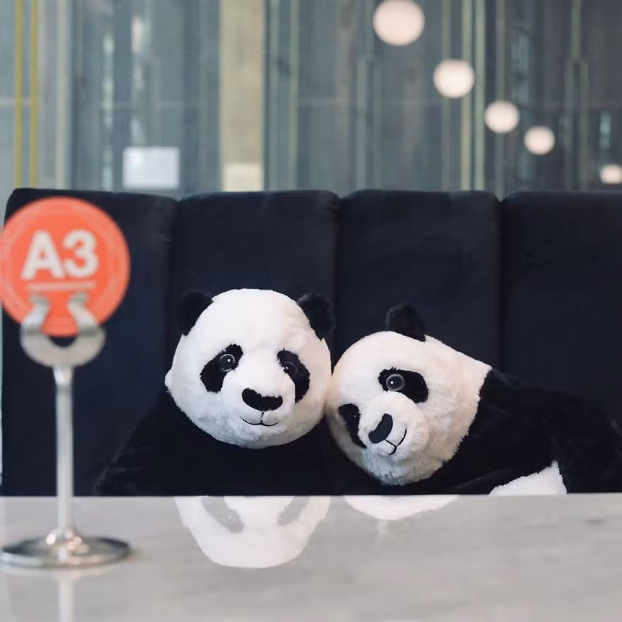 Nhà hàng Việt tại Thái Lan sử dụng nhân viên... gấu trúc để "tiếp chuyện" thực khách ảnh 4