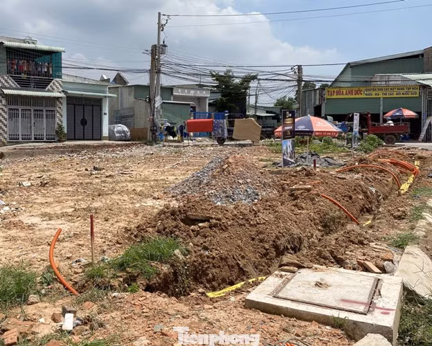 Bình Dương xử lý hai chủ đầu tư khu dân cư xây dựng trái phép ảnh 4