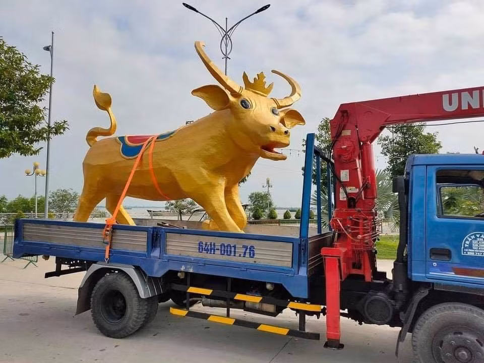 Biểu cảm siêu hài hước của “Trâu vàng” Tân Sửu ở tỉnh Vĩnh Long: Tôi là ai và đây là đâu? ảnh 3