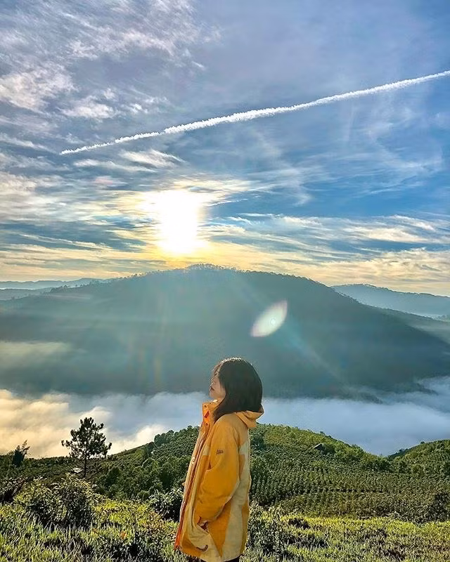 View “săn mây” đẹp ảo diệu ở Đà Lạt thông báo đóng cửa vì ý thức kém của du khách ảnh 9