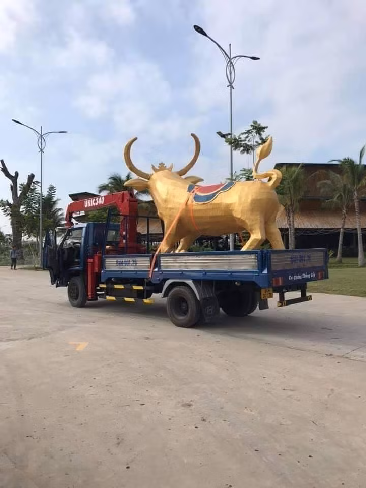 Biểu cảm siêu hài hước của “Trâu vàng” Tân Sửu ở tỉnh Vĩnh Long: Tôi là ai và đây là đâu? ảnh 1