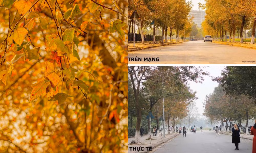 Du Xuân đầu năm tại ngôi chùa lớn nhất Việt Nam, phong cảnh yên bình và đẹp như một thước phim điện ảnh ảnh 15 Du Xuân đầu năm tại ngôi chùa lớn nhất Việt Nam, phong cảnh yên bình và đẹp như một thước phim điện ảnh ảnh 15