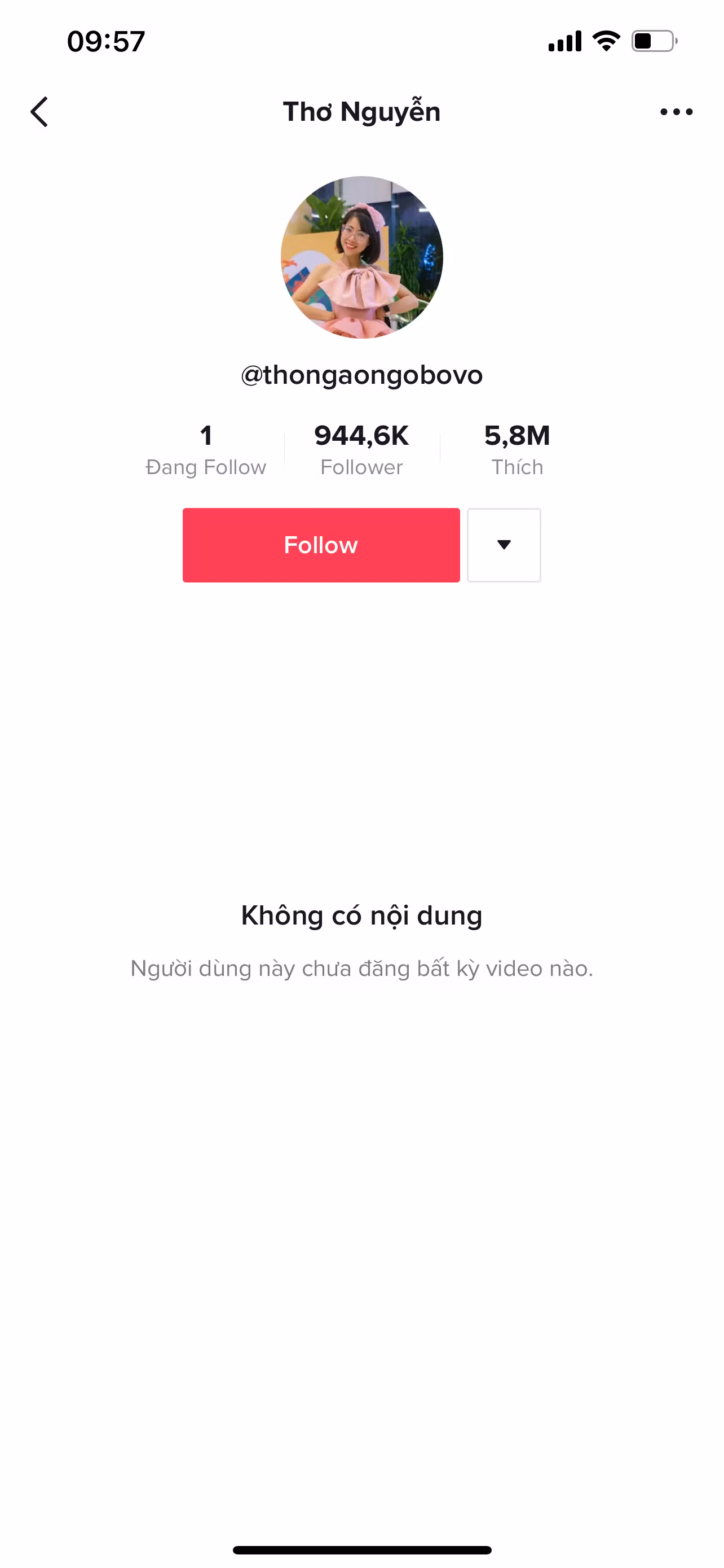 Kênh YouTube Thơ Nguyễn vào “tầm ngắm” của cơ quan chức năng, có nguy cơ bị khoá tài khoản ảnh 3