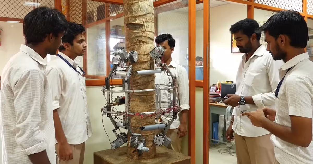 Robot cũng leo trèo hái dừa như thợ chuyên nghiệp ảnh 1