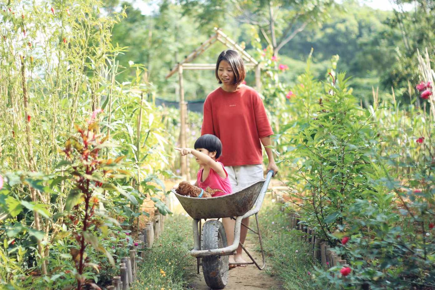 Mảnh vườn và những con cá gỗ “vạn người mê” của cô gái 9X ảnh 6