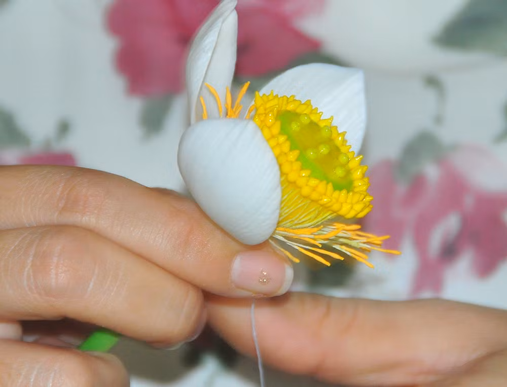Tình yêu hoa từ... đất của nữ thạc sỹ 9X ở Cần Thơ ảnh 5