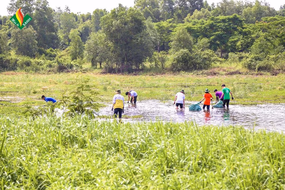 Hội Sinh viên ĐH Mở TP. HCM: Tập huấn chiến dịch “Mùa Hè Xanh" 2020 ảnh 11