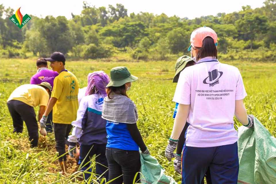 Hội Sinh viên ĐH Mở TP. HCM: Tập huấn chiến dịch “Mùa Hè Xanh" 2020 ảnh 8