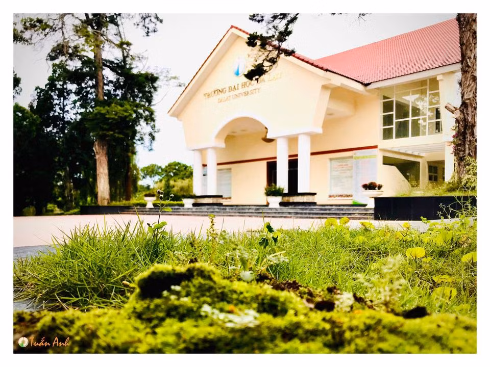 Đẹp mê hồn bộ ảnh về trường ĐH Đà Lạt của chàng Bí thư Đoàn trường ảnh 33