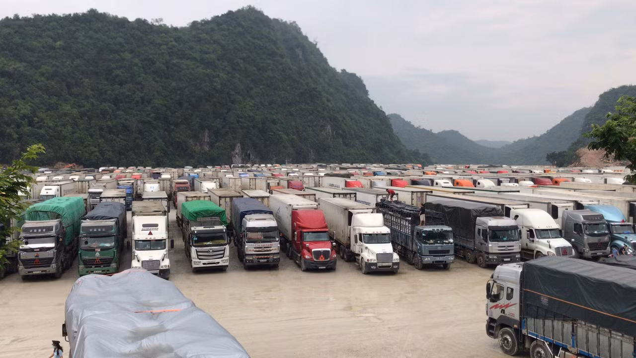 15,5 tỷ USD hàng nông lâm thủy sản Việt Nam xuất đi đâu trong thời dịch COVID-19? ảnh 1 15,5 tỷ USD hàng nông lâm thủy sản Việt Nam xuất đi đâu trong thời dịch COVID-19? ảnh 1