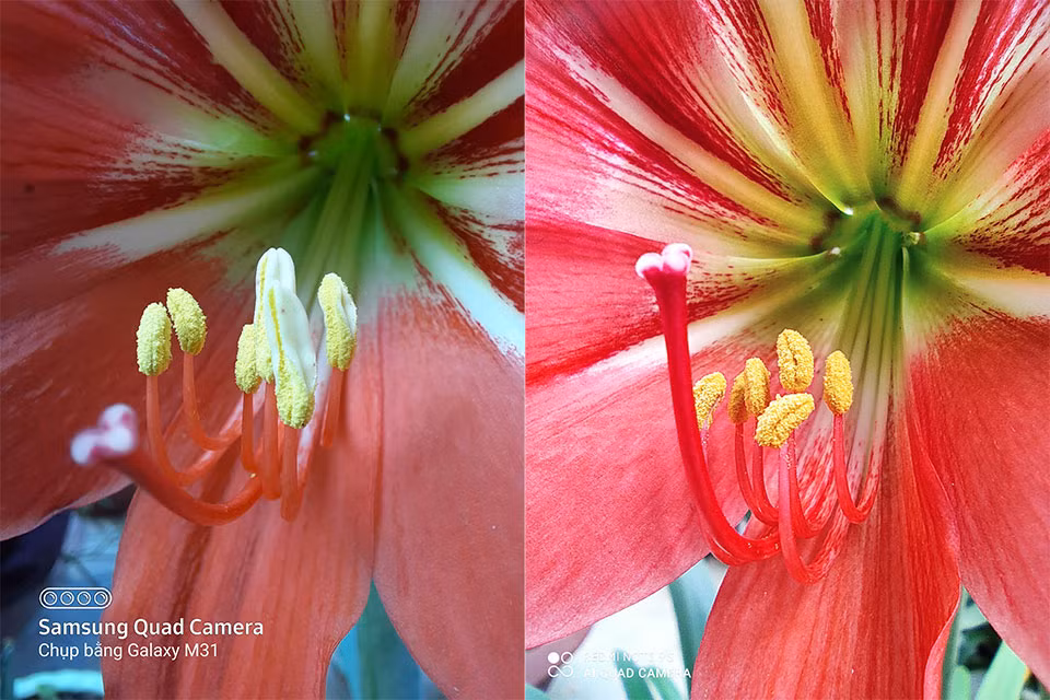 Redmi Note 9s vs. Galaxy M31: “Mãnh thú” nhà Xiaomi và Samsung khác nhau như thế nào? ảnh 20