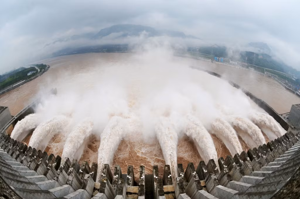 Voi châu Phi chịu 'nhún nhường' trước hai mẹ con tê giác ảnh 4 Voi châu Phi chịu 'nhún nhường' trước hai mẹ con tê giác ảnh 4