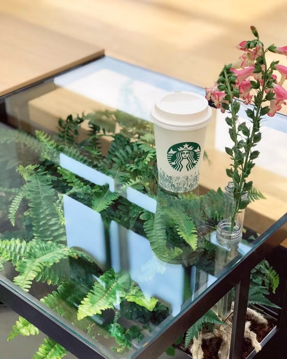 Bên trong cửa hàng Starbucks nhà kính ngàn hoa “đốn tim” các tín đồ sống ảo ở Nhật Bản ảnh 7