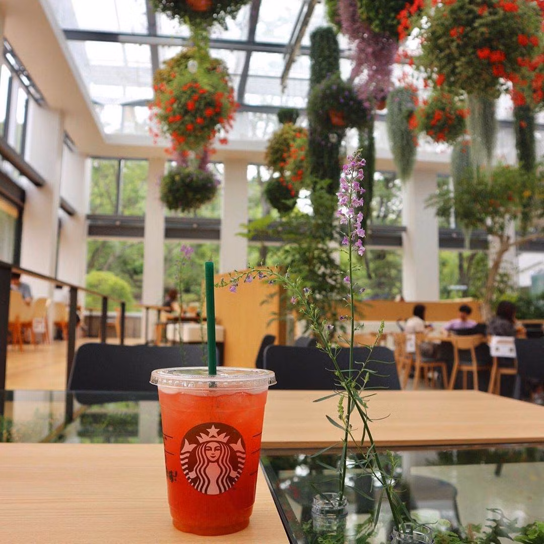 Bên trong cửa hàng Starbucks nhà kính ngàn hoa “đốn tim” các tín đồ sống ảo ở Nhật Bản ảnh 9