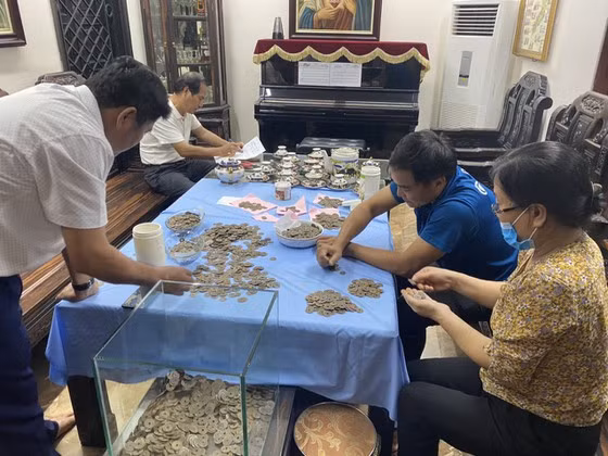 Voi ma mút khổng lồ nặng thế nào, vì sao chúng tuyệt chủng? ảnh 5