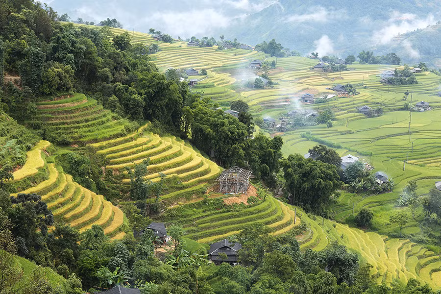 Ngất ngây áng mây bay trên những thửa ruộng bậc thang chín vàng ở Hà Giang ảnh 5