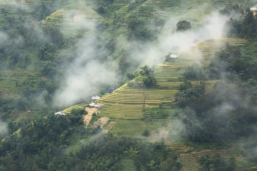Ngất ngây áng mây bay trên những thửa ruộng bậc thang chín vàng ở Hà Giang ảnh 10