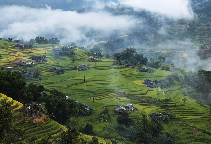 Ngất ngây áng mây bay trên những thửa ruộng bậc thang chín vàng ở Hà Giang ảnh 4