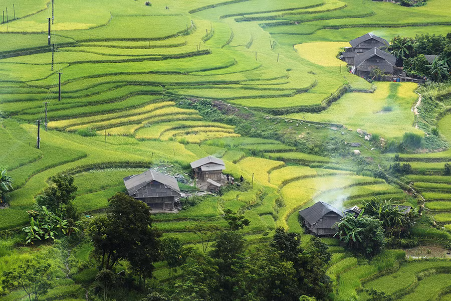 Ngất ngây áng mây bay trên những thửa ruộng bậc thang chín vàng ở Hà Giang ảnh 8