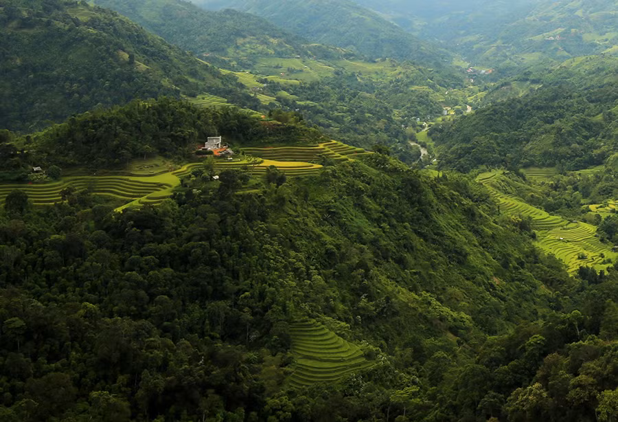 Ngất ngây áng mây bay trên những thửa ruộng bậc thang chín vàng ở Hà Giang ảnh 2