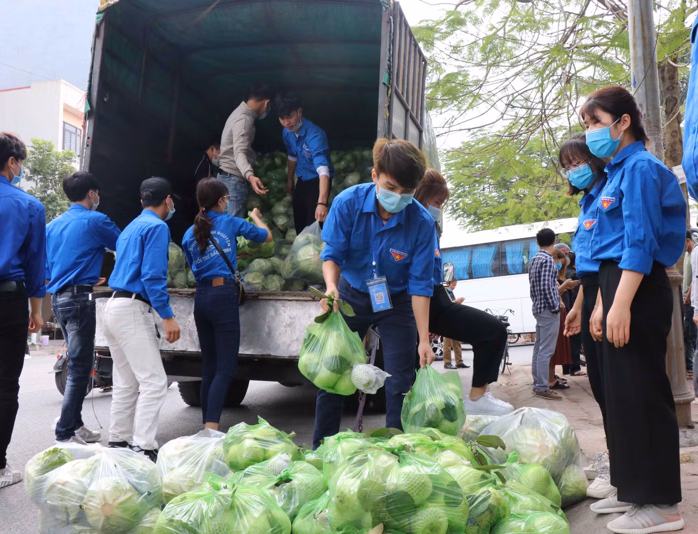 Nữ giáo viên cùng bạn giải cứu hàng chục tấn nông sản huyện Tiên Lãng ảnh 11