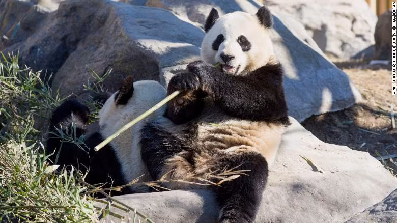 Thứ Sáu của bạn: Kim Ngưu đề phòng tiểu nhân, Sư Tử thích lo chuyện bao đồng ảnh 4