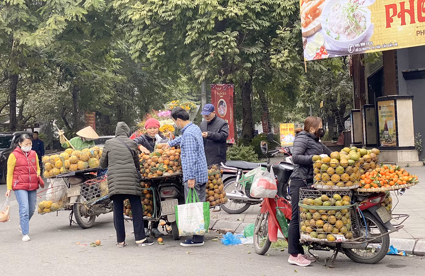 Hà Nội tái diễn 'chợ cóc' tự phát khi Tết Nguyên đán cận kề ảnh 2