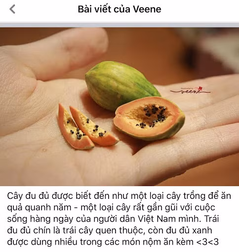 Tan chảy với loạt ảnh đồ vật tí hon khiến bạn chỉ muốn thu nhỏ ngay lập tức ảnh 9