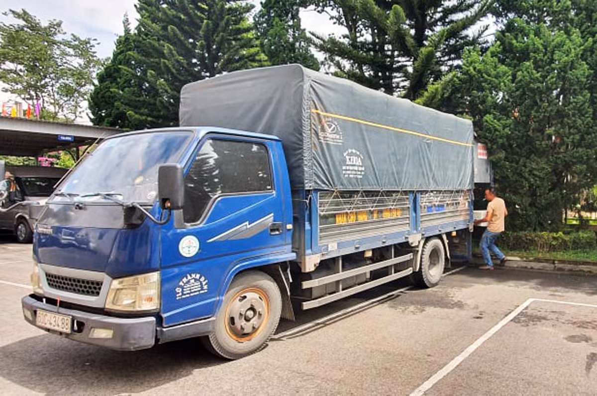 Dâu tây Trung Quốc nhập khẩu về Đà Lạt có dư lượng thuốc trừ sâu cao gấp 3 lần ảnh 1