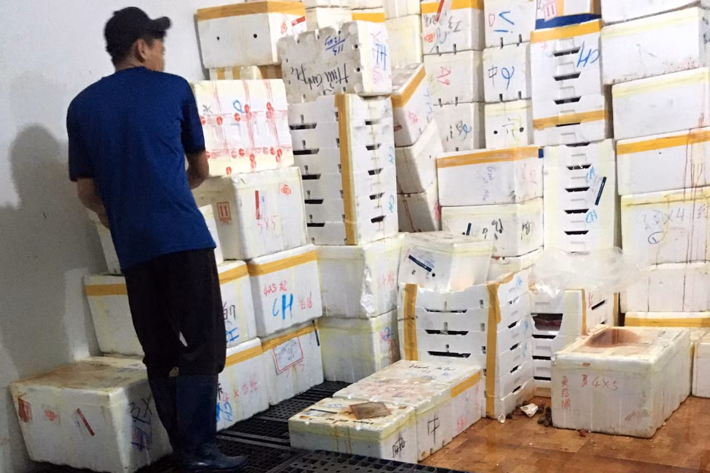 Lâm Đồng tiêu hủy hơn 8,7 tấn dâu tây, nghi nhập từ Trung Quốc ảnh 3