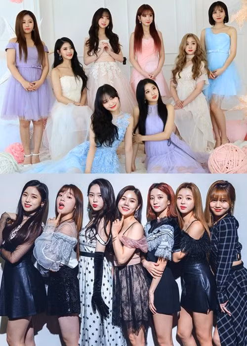 Ly kỳ nhất K-Pop lúc này: Album Oh My Girl ký tặng Lovelyz bị rao bán trên mạng ảnh 3