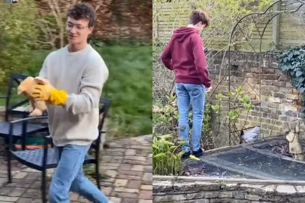 Đi siêu thị mua trứng mà hết, “Người Nhện” Tom Holland mua luôn gà về nuôi ảnh 3