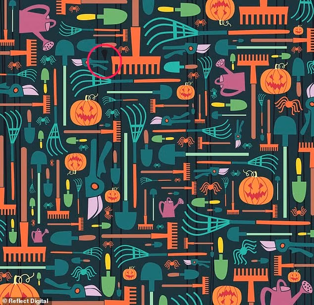 'Hack não' tìm cây chổi phù thủy trong tranh Halloween chỉ với 45 giây, bạn đã thử chưa? ảnh 7