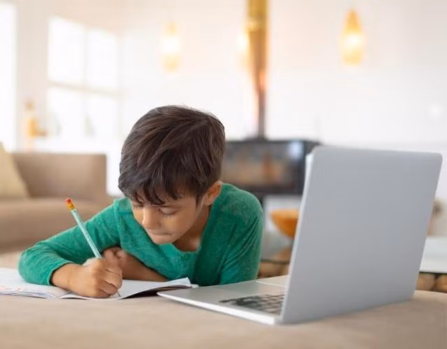Tranh cãi việc các trường tư cho học sinh lớp 1 học online: “Chưa biết chữ học kiểu gì?“ ảnh 3