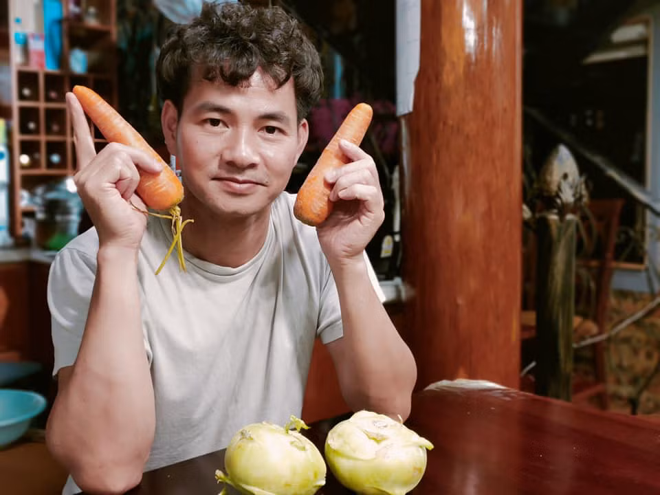 Hàng loạt “sao” Việt giải cứu nông sản Hải Dương; Sau Sơn Tùng MTP, Jack cũng dính nghi án đạo nhạc ảnh 1