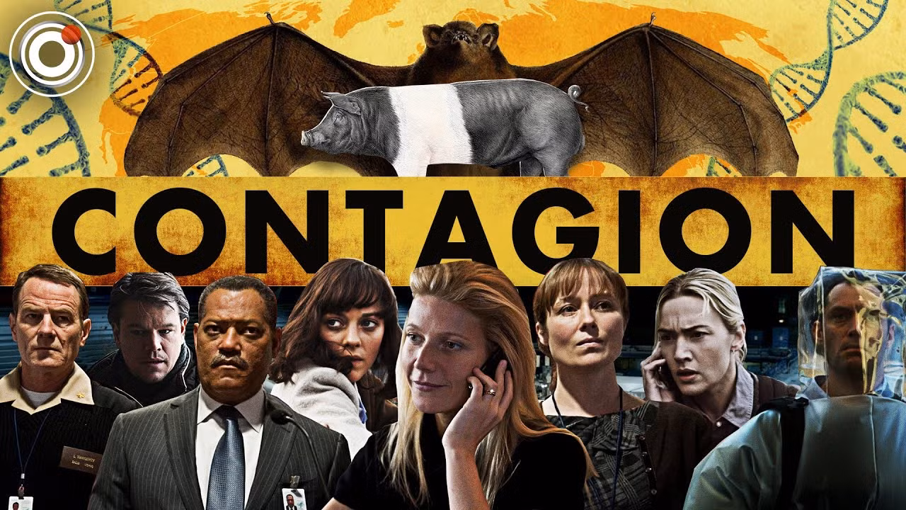 Contagion: Một tác phẩm phi thực giải thích cho hiện thực COVID-19? ảnh 1