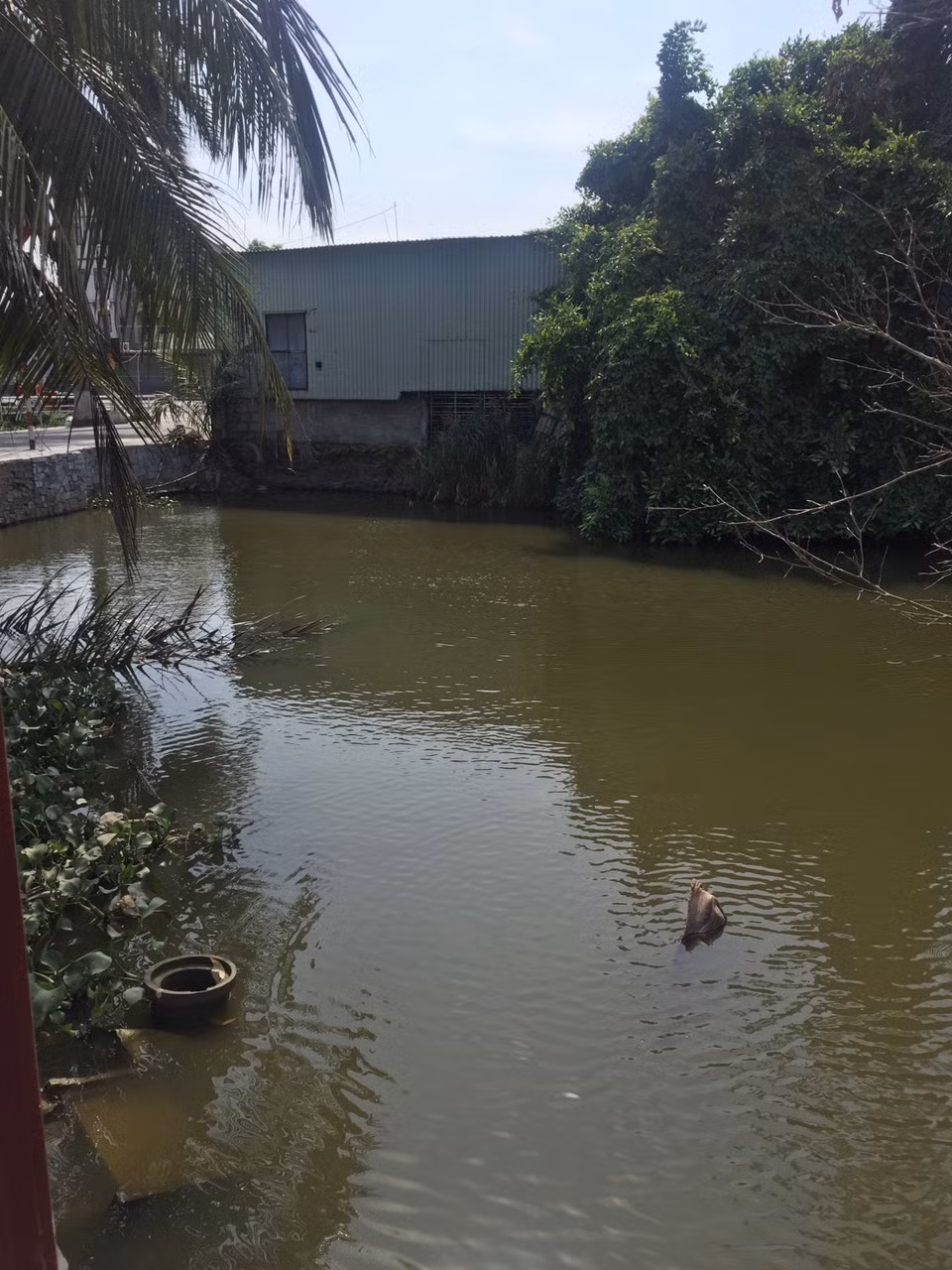Hải Phòng thu hồi toàn bộ nước đóng chai 'hóa phép' từ mương nước thải ảnh 2